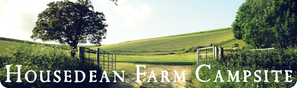Housedean Farm Campsite in East Sussex